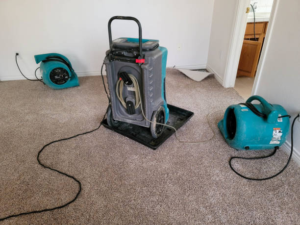 Best Residential water damage restoration  in Farmerville, LA