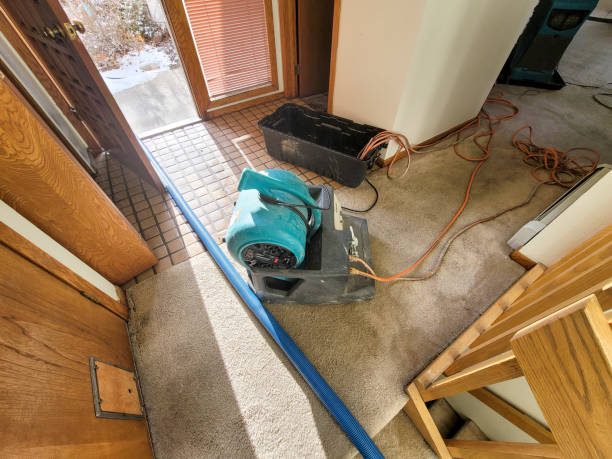 Water damage restoration mold remediation in Farmerville, LA