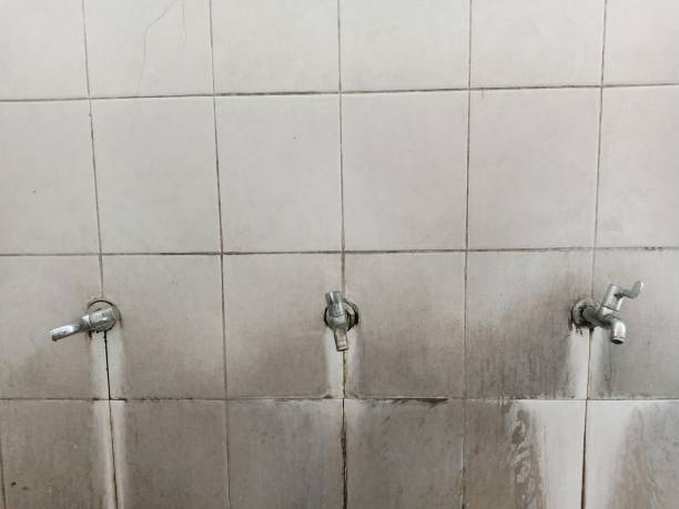 Best Fire Damage Restoration  in Farmerville, LA