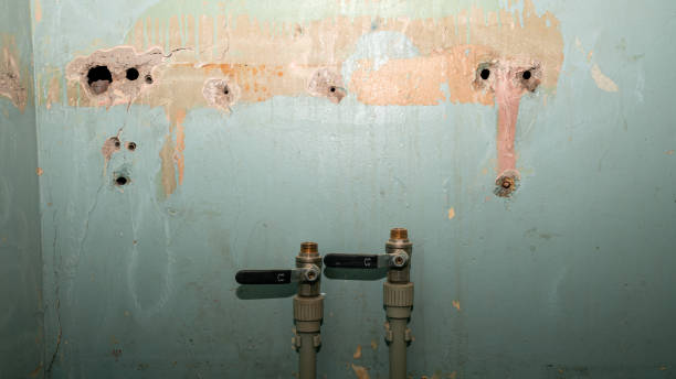 Best Residential water damage restoration  in Farmerville, LA
