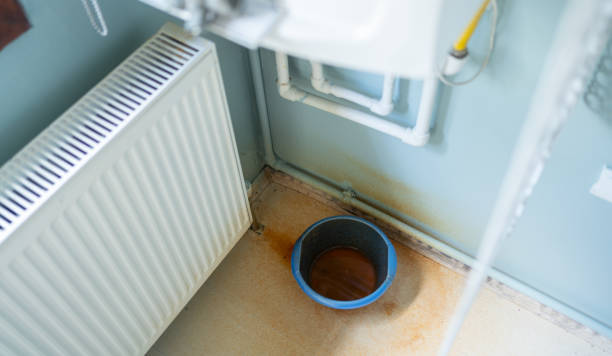 Best Water damage contractors near me  in Farmerville, LA