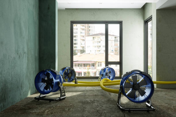 Water damage restoration experts in Farmerville, LA