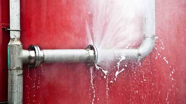 Best Local water damage restoration  in Farmerville, LA