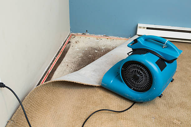 Best Water damage restoration near me  in Farmerville, LA